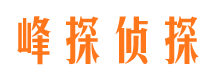 太子河市侦探公司